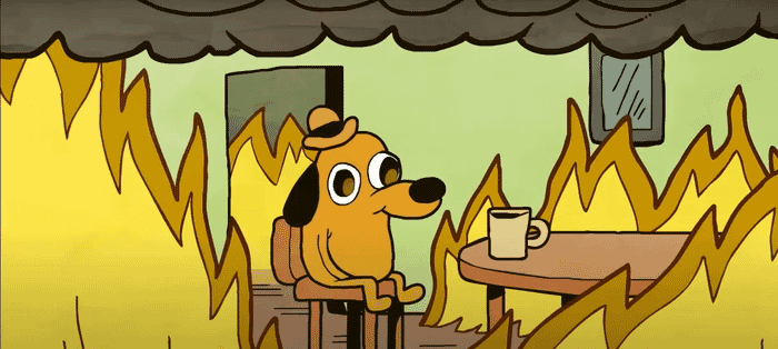 dev life